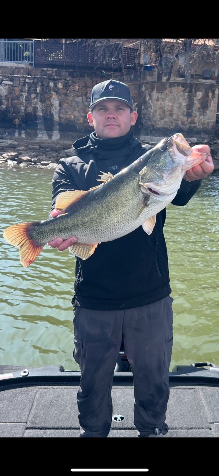Recent Lake Brownwood bass catch